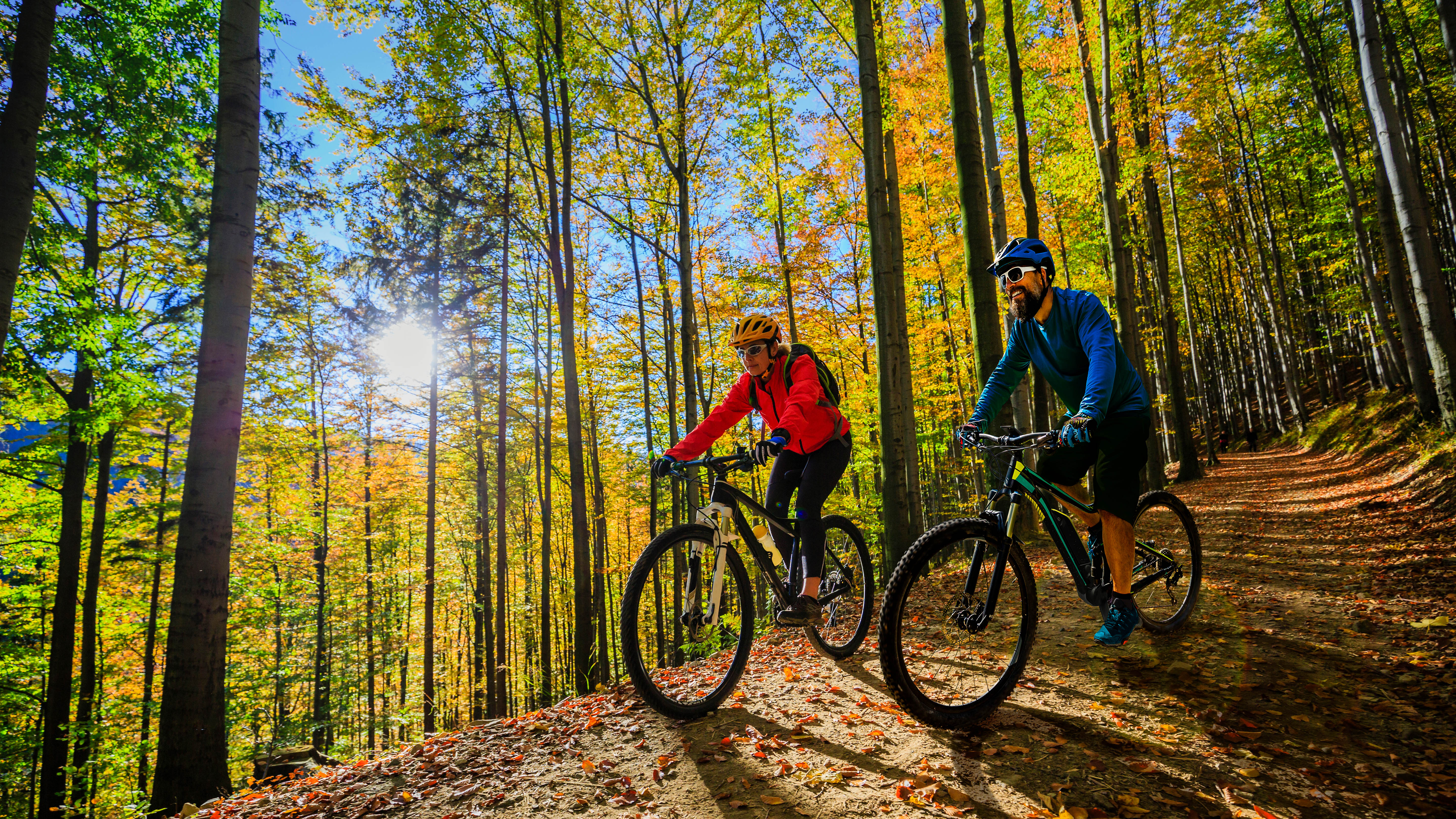 Couple out mountain biking through a forest with bright blue sky Couple out mountain biking through a forest with bright blue sky